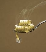 A picture of telephone cable wrapped around a fork like spaghetti